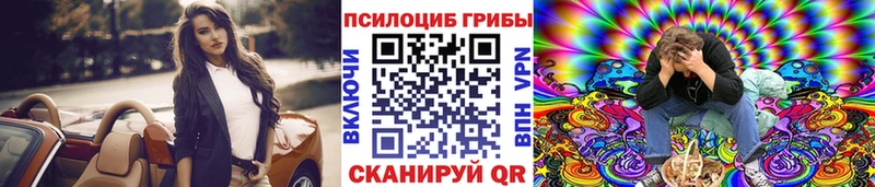 Купить  Малгобек  Псилоцибиновые грибы GOLDEN TEACHER 